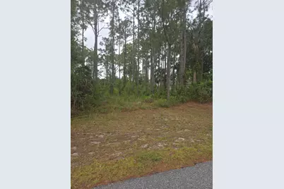 1836 Pindo Court NW, Palm Bay, FL 32909 - Photo 1