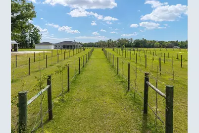 3725 172nd Street, Wellborn, FL 32094 - Photo 15