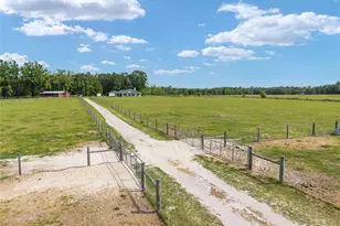 3725 172nd St, Wellborn, FL 32094 - Photo 5