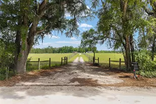 3725 172nd St, Wellborn, FL 32094 - Photo 3