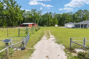 3725 172nd St, Wellborn, FL 32094 - Photo 7