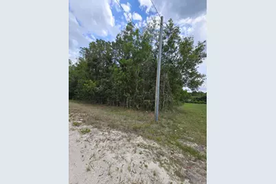 42 Nd Road N, Loxahatchee Groves, FL 33470 - Photo 5