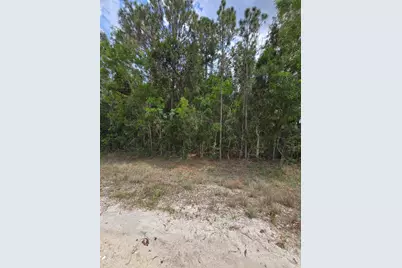 42 Nd Road N, Loxahatchee Groves, FL 33470 - Photo 3