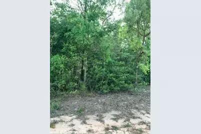 0 Gardenia Drive, Marianna, FL 32448 - Photo 1