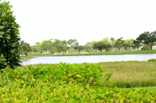 1009 Diamond Head Way, Palm Beach Gardens, FL 33418 - Photo 29