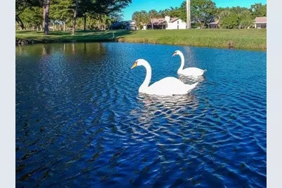 5242 Fairway Woods Drive #3611, Delray Beach, FL 33484 - Photo 55