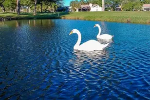 5242 Fairway Woods Dr, Delray Beach, FL 33484 - Photo 55