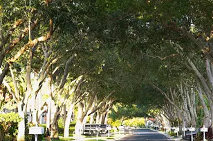 8088 VÃ­a Di Veneto, Boca Raton, FL 33496 - Photo 27