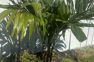 4300 W 10th Ct, Hialeah, FL 33012 - Photo 37