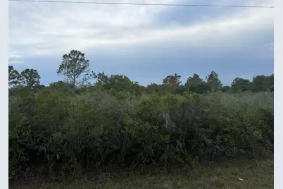 15840 NW 298th Street, Okeechobee, FL 34972 - Photo 3