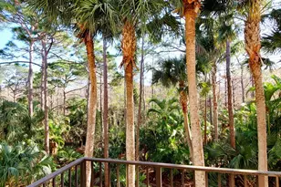 12675 SE Old Cypress Dr, Hobe Sound, FL 33455 - Photo 11