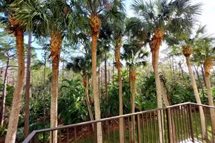 12675 SE Old Cypress Dr, Hobe Sound, FL 33455 - Photo 13