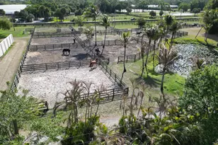 14523 Flamingo Rd, Loxahatchee Groves, FL 33470 - Photo 25