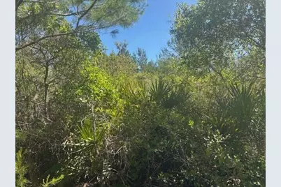 0 Golden Shores Blvd, Mims, FL 32754 - Photo 3