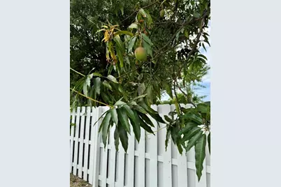 717 2nd Ave #5, Lake Worth Beach, FL 33460 - Photo 17