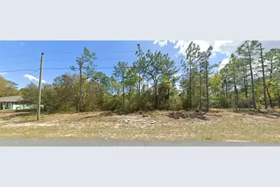 9029 N Saponaria Drive, Citrus Springs, FL 34433 - Photo 1