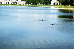 320 Norwood Terrace, Boca Raton, FL 33431 - Photo 41