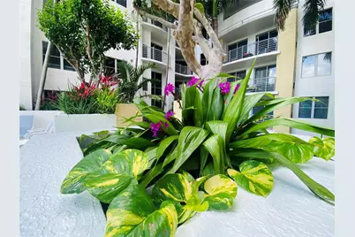 1830 Radius Drive, Hollywood, FL 33020 - Photo 25