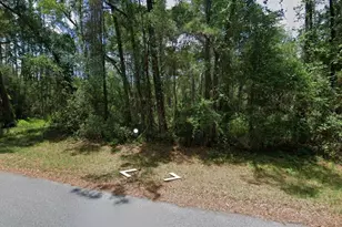 910 E Abend Dr, Dunnellon, FL 34434 - Photo 1