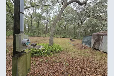 12890 NW 90th Avenue, Chiefland, FL 32626 - Photo 7