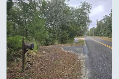 12890 NW 90th Avenue, Chiefland, FL 32626 - Photo 1