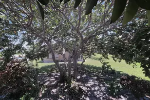 49 B Cambridge B, West Palm Beach, FL 33417 - Photo 11