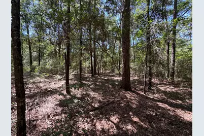 2744-2748 Little John Lane, Bonifay, FL 32425 - Photo 13