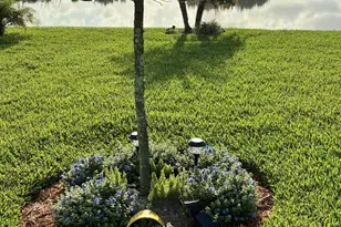 437 Acai Ln, Fort Pierce, FL 34981 - Photo 23