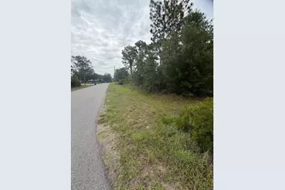 1170 Kingfisher Avenue NW, Lake Placid, FL 33852 - Photo 3