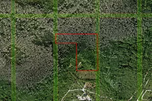 0 Holopaw Groves Rd, Saint Cloud, FL 34772 - Photo 1