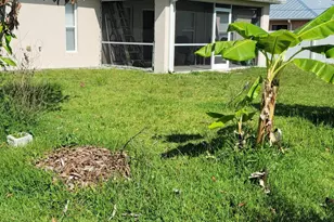 1386 SE Proctor Ln, Port Saint Lucie, FL 34983 - Photo 3