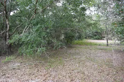 17119 NW 276th Street, Okeechobee, FL 34972 - Photo 5