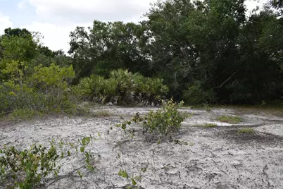 17119 NW 276th Street, Okeechobee, FL 34972 - Photo 7