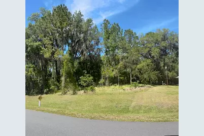 3303 N Canterbury Lake Drive, Hernando, FL 34442 - Photo 5