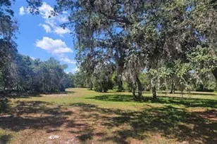 1155 NE 342nd Trail, Okeechobee, FL 34972 - Photo 13