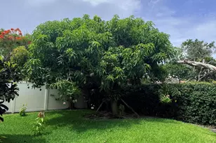 3509 NW 26th Ct, Boca Raton, FL 33434 - Photo 33