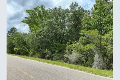 5020 Stephen Street, Hastings, FL 32145 - Photo 3