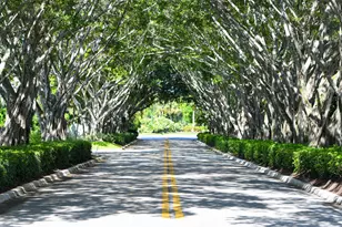 8197 Cypress Point Rd, West Palm Beach, FL 33412 - Photo 13