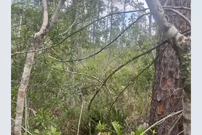 0 Water Road, Clermont, FL 33868 - Photo 3