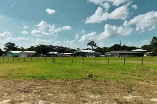 115 Heinley Rd, Lake Placid, FL 33852 - Photo 9