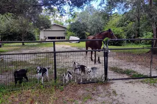 15531 42nd Rd N, Loxahatchee Groves, FL 33470 - Photo 37