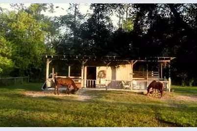 15531 42nd Road N, Loxahatchee Groves, FL 33470 - Photo 29