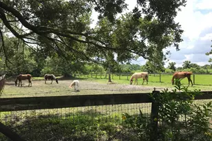 15531 42nd Rd N, Loxahatchee Groves, FL 33470 - Photo 3