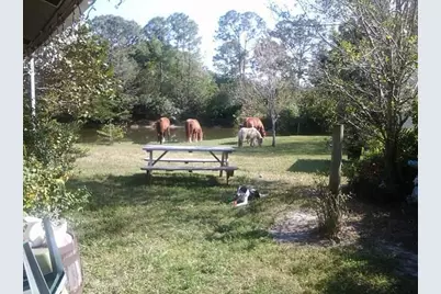 15531 42nd Road N, Loxahatchee Groves, FL 33470 - Photo 33