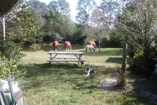 15531 42nd Rd N, Loxahatchee Groves, FL 33470 - Photo 33
