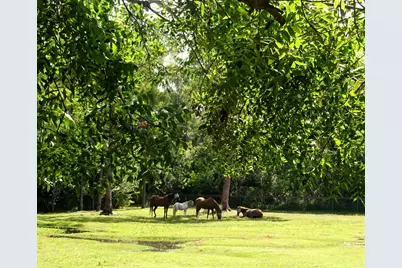 15531 42nd Road N, Loxahatchee Groves, FL 33470 - Photo 37