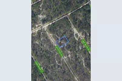 523 Devotion Drive, Lake Placid, FL 33852 - Photo 3