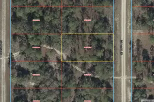 0 SE 136 Ave, Morriston, FL 32668 - Photo 1