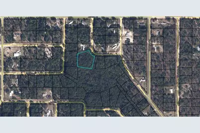 7152 Knox Street, Keystone Heights, FL 32656 - Photo 1