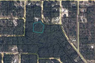 7152 Knox St, Keystone Heights, FL 32656 - Photo 1